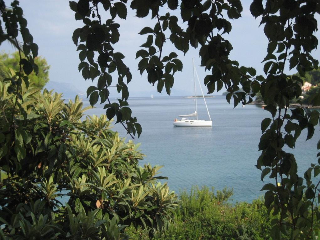 Apartments Villa Diha Korčula Dış mekan fotoğraf